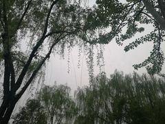 -唐城墙遗址公园