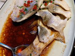 酱烤活鲈鱼-新白鹿餐厅(虹桥南丰城店)