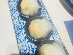 -点都德·毕德寮