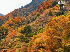 -汉中石门栈道风景区