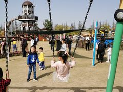 -上海长兴岛郊野公园