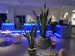 前台-MOKA HAIR SALON 烫染造型