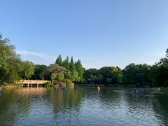-红梅公园