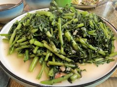 -渡海小渔村.老辈日照菜