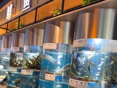 -老船舫·现做活鲜鱼馆(东郊记忆店)