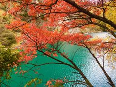 -叠溪松坪沟景区