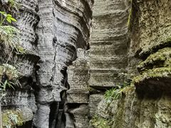 -梭布垭石林景区