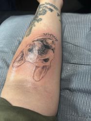 -越域刺青