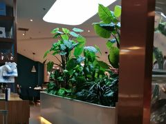 -悦海·家宴·冰花皮皮虾大锅贴(宝龙店)