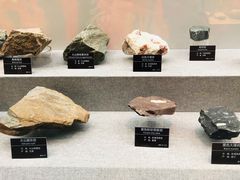 -甘肃地质博物馆