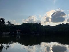 -深圳仙湖植物园