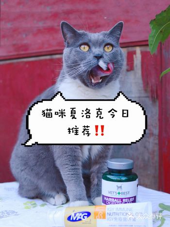 春季养宠必备️绿十字猫草片+IGY免疫营养膏