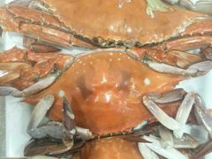 -渔家小院观海海肠捞饭地方菜(环海中路店)