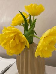 -尊尚柏丽美容SPA