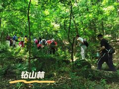 -紫金山山顶公园