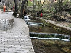 -陕西省红河谷森林公园