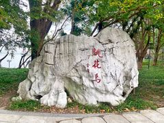 -金鸡湖游船(月光码头)