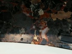 android_upload_pic-深圳富临大酒店