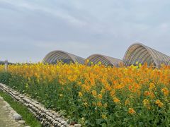 -中国天府农业博览园