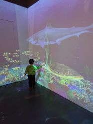 -小鸡哆哆故事屋·儿童乐园(嘉里城店)