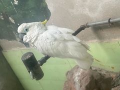 -石家庄市动物园