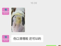 -嘉馨宠物医院·CT影像转诊·心脏科·犬猫全科诊疗中心(下沙大学城院区)
