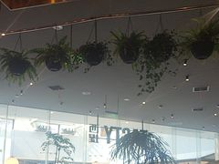 -西堤牛排(合肥之心城店)