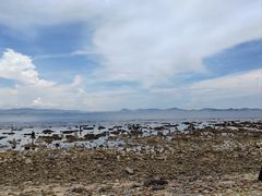 -三亚西岛海洋文化旅游区