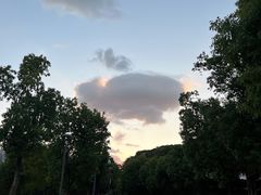 -牛岗山公园