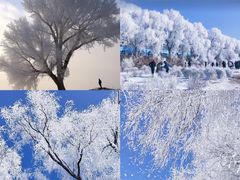 -雾凇岛