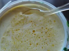 -德禄酸奶(莫家街店)