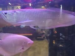 -秦桥足道·SPA·影院(万达店)