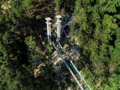 -九龙江国家森林公园