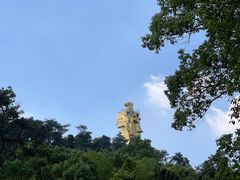 -南山植物园