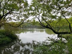 -西湖游船