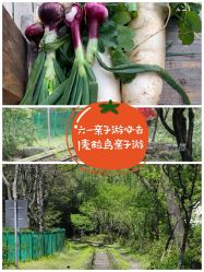 -麦粒鸟亲子游