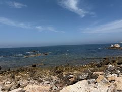 -养马岛旅游度假区