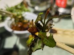 -华盛园卷子王农家菜水库鱼