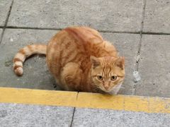 -上海市保健医疗中心