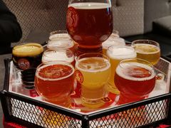 -Boxing Cat Brewery拳击猫精酿啤酒馆(永福店)