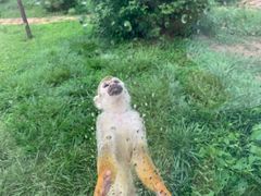 -辛玛王国游乐园