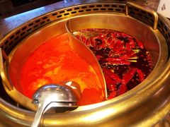 番茄鸳鸯锅-小龙坎老火锅(北京三里屯店)