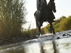 -SFC上影影城(杭州下沙IMAX店)