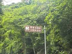-野象谷景区
