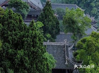 野趣天成之幽｜青城山&都江堰一日游全攻略