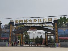 -洛阳郁金香牡丹园