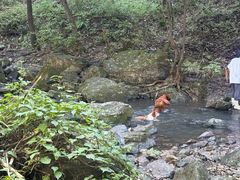 -香炉山国家森林公园