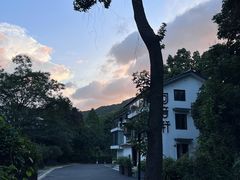 -野蔓果·山野菜(西湖景区·龙井茶田店)