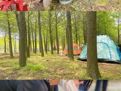 -营地公园·团建拓展·亲子户外(奉贤店)