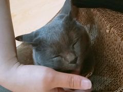 -万小咖.猫咖(中山路天虹店)